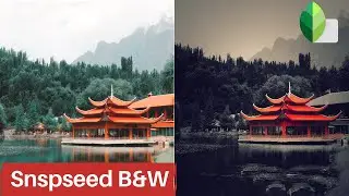 Black And White Editing Techniques In Snapseed Like A Pro