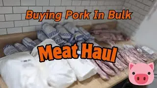 What Does a HALF of a PIG Look Like? Buying BULK Pork!