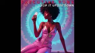 Executive Funk - Flip it upside down (Funk) (2024)