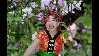 Cô giáo về bản- Anh Trang YB cover : Nhạc Tây Bắc.