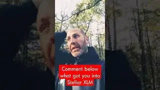 How I fell into the STELLAR XLM rabbit hole.