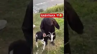 Кушать есть вода есть захруман есть 🤣🤣🤣🩶