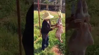 Arab female cutting goat