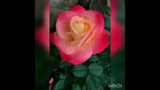 Притча 