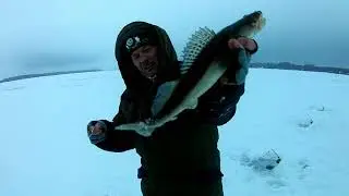 ЛОВЛЯ СУДАКА НА ТЮЛЬКУ. РЫБАЛКА 01.01.21.