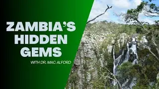 Zambia's Hidden Gems: Uncovering the Biodiversity of Remote Granite Cliffs and Outcrops