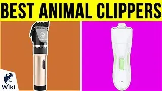 10 Best Animal Clippers 2019