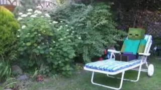 Minecraft in Reallife - A Zombie in my Garden :D - flatscreenrecords