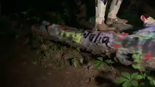 Hippie Tree Night Visit