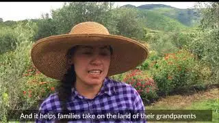 Via Organica’s Teaching School Educates Farmers on Soil Health, Regenerative Agriculture