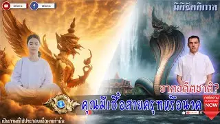 "เผย 21 ข้อแตกต่าง ว่าคุณมีสายเลือดพญาครุฑหรือพญานาค" [มิติรัตติกาล : พญานาค]