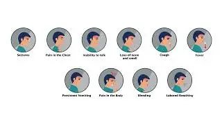 2D Animated Motion Graphics | 2D Animation | Animation Creator