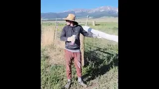 Farm tour and morning chores