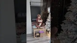 A GIFT FOR A CAT FOR NEW YEARS 