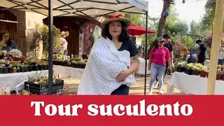 Expo de suculentas en xochimilco