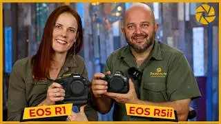 Canon R1 and R5 Mark ii: FIRST LOOK & KEY FEATURES for Wildlife Photography!