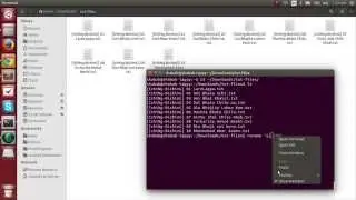 How to Strip Prefix From Filenames on Linux