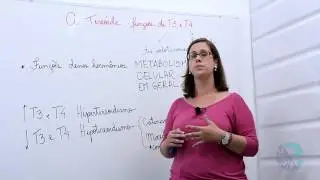 A tireóide: funções de T3 e T4
