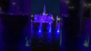 Фонтаны,Парк Победы,Спб