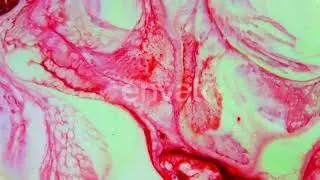 Vibrant Colours Movement Texture 11 | Stock Footage - Envato elements