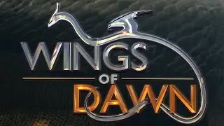 Wings of Dawn | Q&A