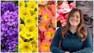 5 Must-Have Annuals for 2023! 🌸🌿😍 // Garden Answer