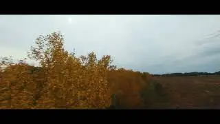 Autumn Vibes 