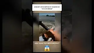 SEREM!! Hewan yang dibenci pemancing #shorts #ikan #misteri
