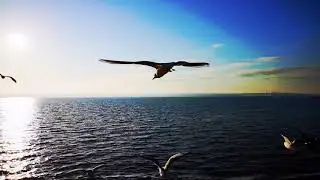 ЛЮБОВЬ     НЕ  ТИТАНИК