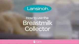 How to use the Lansinoh Breastmilk Collector?