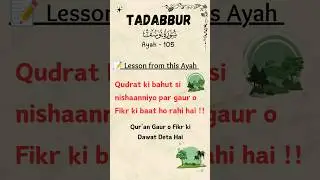 Surah Yusuf Ayah 105 | #quran #dua #surah #qurantranslation #quranverses #urdu #quranrecitation