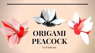How to make a paper Peacock. Creative diy projects.