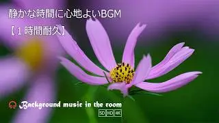 Soothing BGM for Quiet Moments | Café Music to Unwind By