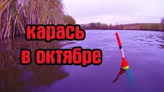 НА ЧТО ЛОВИТЬ КАРАСЯ В ОКТЯБРЕ.Рыбалка на карася .Эксперементы с наживками.