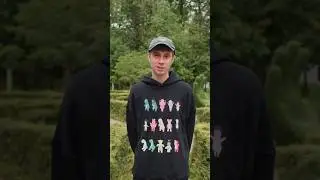 История с фанатом