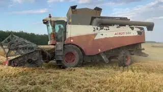Как мы случайно оказались в комбайне Acros 580 / Уборка урожая
