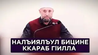 24.05.2024./ НАЛЪИЯЛЪУЛ БИЦИНЕ ККАРАБ ГlИЛЛА