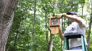 Build a Suet Feeder with Feather Rest