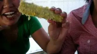 Hoegurt Sisters Eat Corn