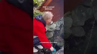 Как сжечь карму. Это видео для вас. #карма  #кармическиеотношения  #просветление #жизньвкайф