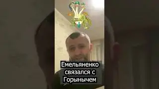 Емельяненко надо выжить / Связался с Горынычем / Рамазан Исмаилов