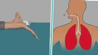 15 minutes to master all the techniques of swimming crawl