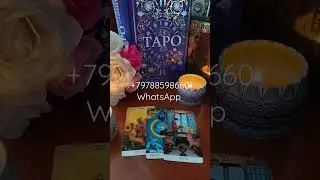 чувства его к вам 