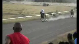 Horse racing in Nevis 21 - William D. Junior wins easy!