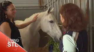 A Mustang Named Sally | Living St. Louis