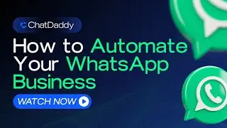 How to automate your WhatsApp Business