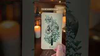 This Reading Found You for a Reason | #tarot #tarotreading