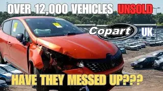 WE BOUGHT A CRASHED 2024 CLIO FOR £5K LESS THAN THE ASKING PRICE!