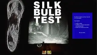 Receive a free psychiatric eval in - silkbulb test