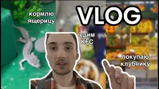 VLOG 1 | Едим KFC, Покупаем клубнику, прибираемся в гараже и еще много всего интересного